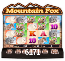 6171